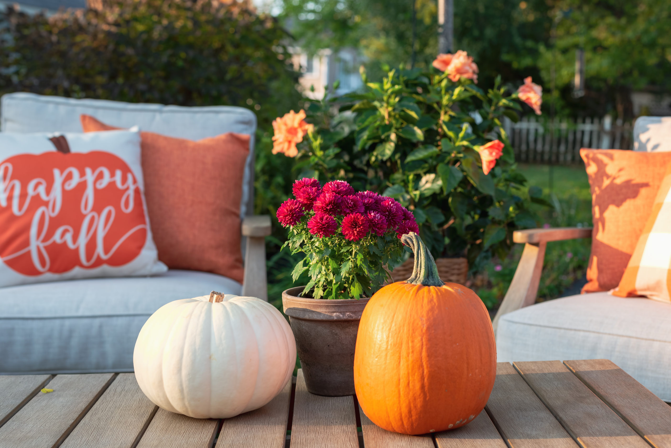Backyard patio furniture styled for fall